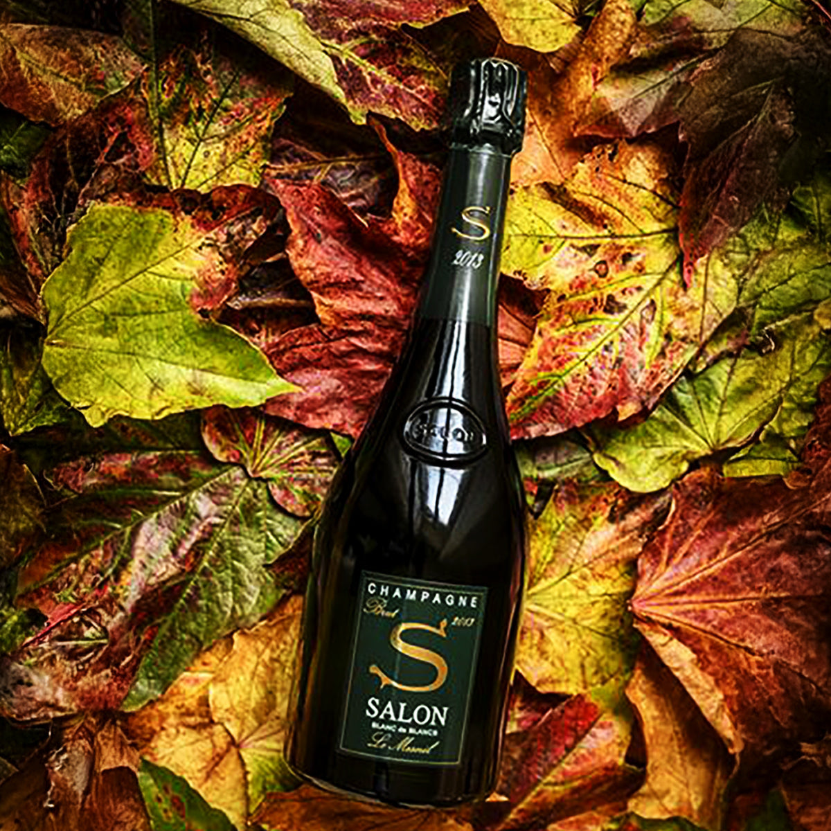 Simply-Wines-Official-Online-Delivery-Melbourne-Champagne-Salon-2013