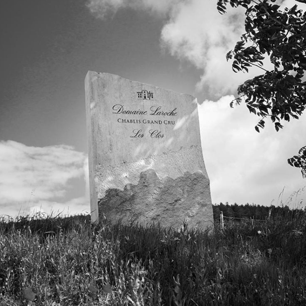 Simply-Wines-DOMAINE-LAROCHE-CHABLIS-SAINT-MARTIN-2019-CHARDONNAY-Australia