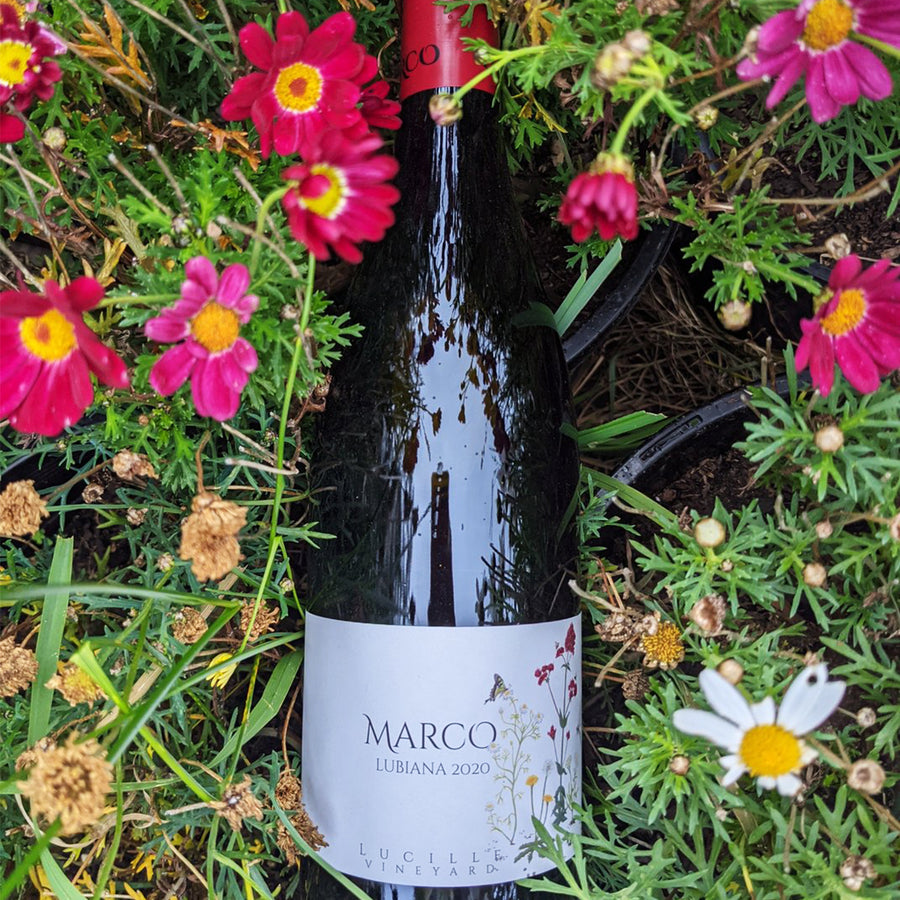 Simply-Wines-MARCO-LUBIANA-Lucille-Pinot-Noir-2020-Melbourne-Australia