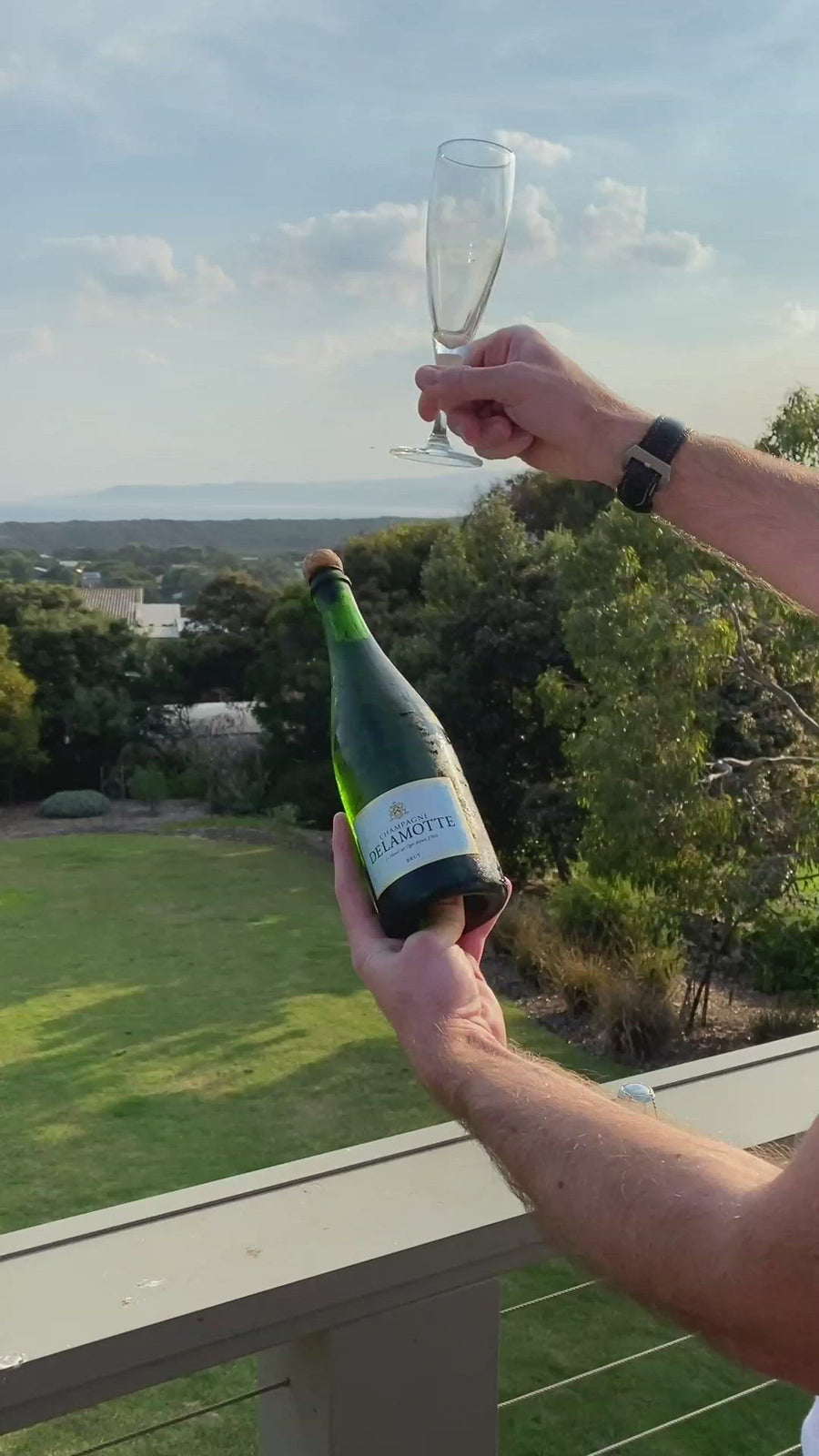 Simply-Wines-CHAMPAGNE-DELAMOTTE-Brut-NV-Chardonnay-meunier-pinot-noir-Australia